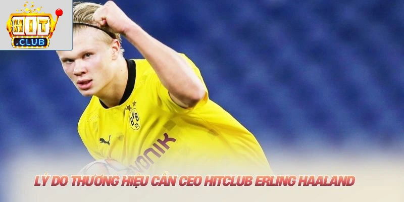 Lý do thương hiệu cần CEO HITCLUB Erling Haaland